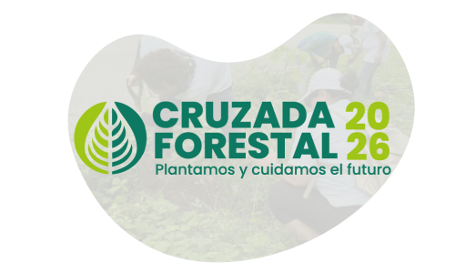 Cruzada Forestal 2026